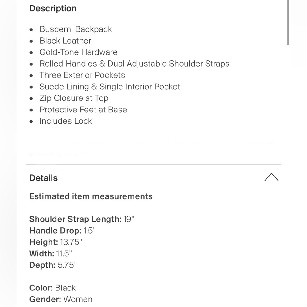 Authentic Buscemi Leather Backpack - image 5